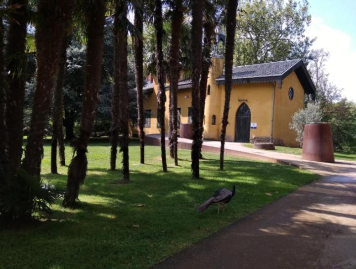 Big 4 Rooms In A Centric Home Parking Included San Sebastián Zewnętrze zdjęcie